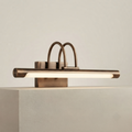 Antique brass picture and vanity LED light